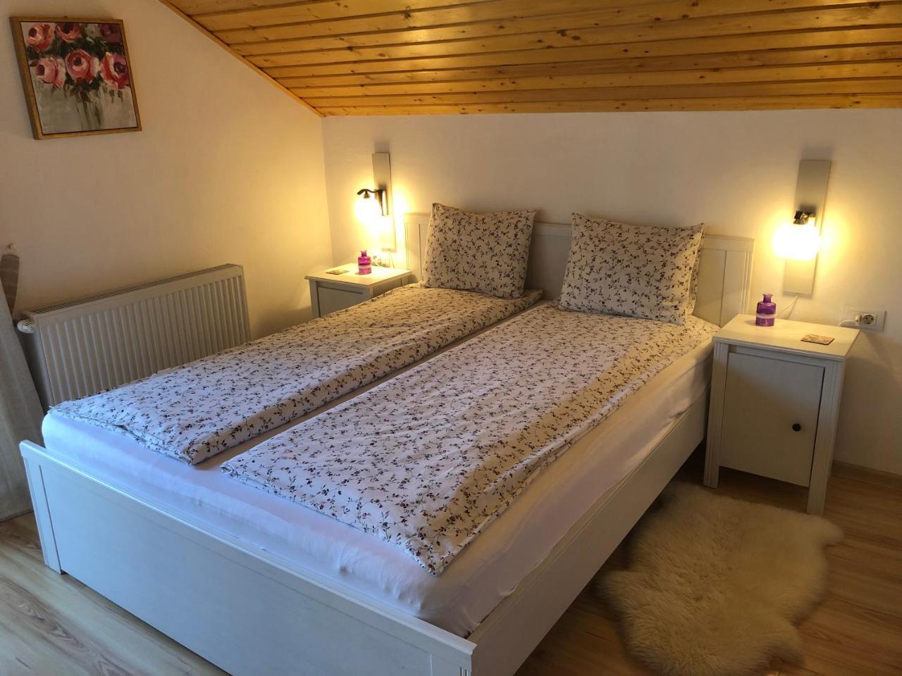 Holiday home Casa De Vacanta Mogosa Baia-Sprie